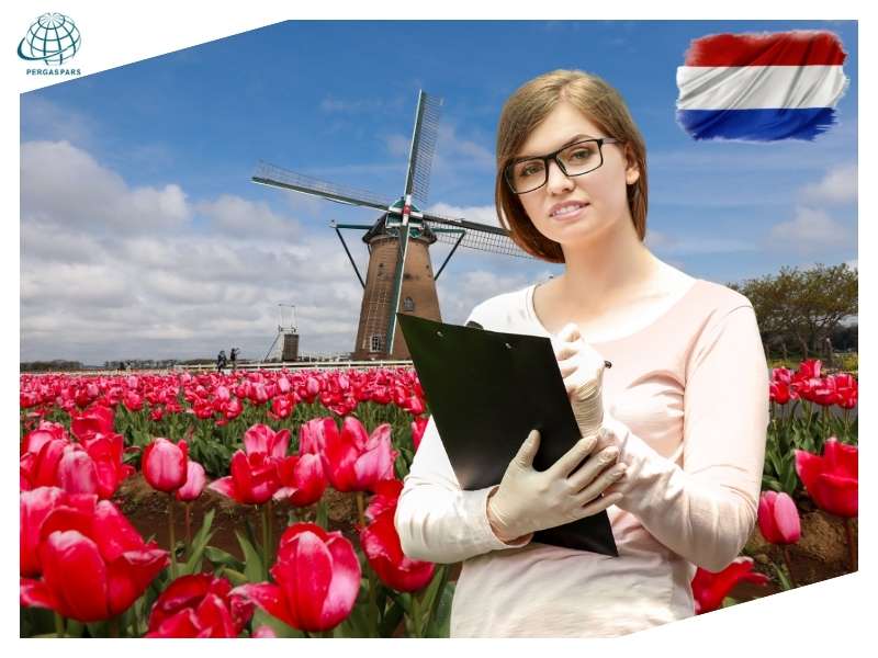مراحل دریافت ویزای اسکیل ورکر هلند
